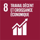 8 Travail dêcent et croissance economique