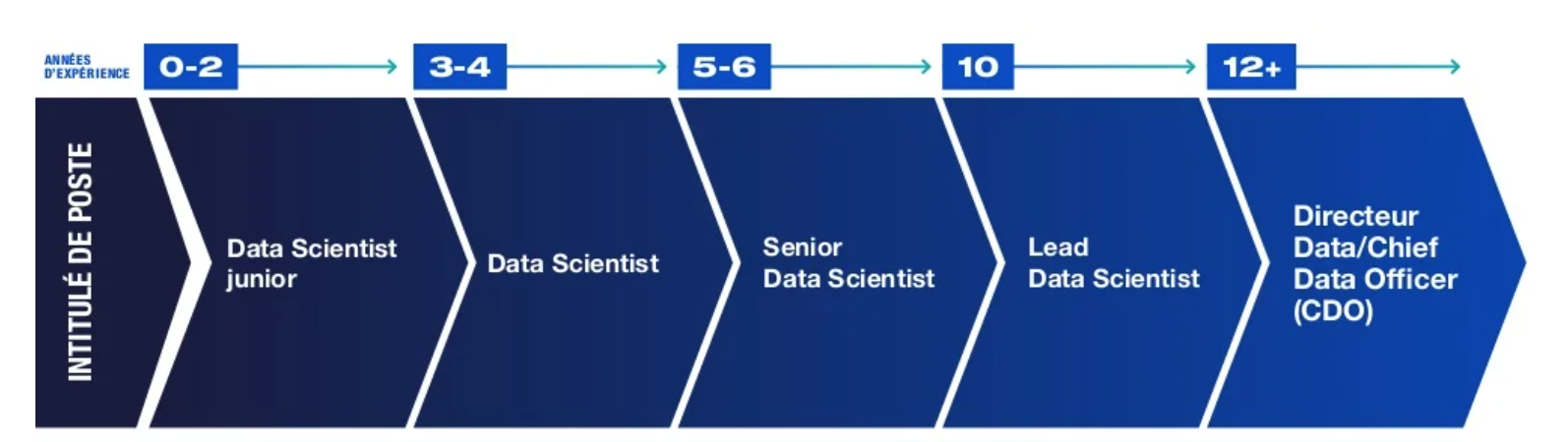 perspectives de carrière et salaire d'un data scientist