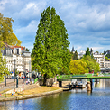 Vue d'un parc avec un grand arbre près d'une rivière et des bâtiments historiques au fond.