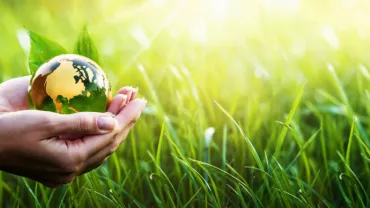 Mains tenant un globe en verre au-dessus d'herbe verte.