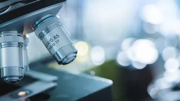 Gros plan sur les objectifs d'un microscope.