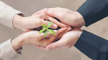 Deux paires de mains tiennent une jeune plante avec de la terre.
