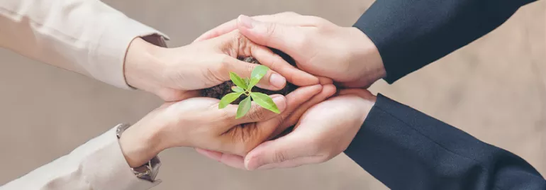 Deux paires de mains tiennent une jeune plante avec de la terre.