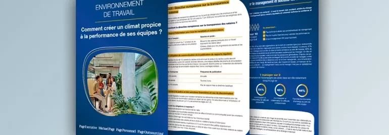 ebook environnement de travail 