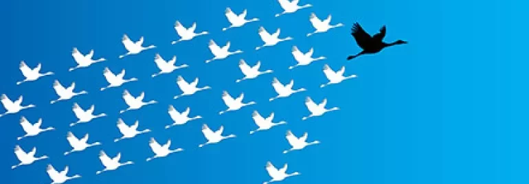 Les 10 qualités d'un vrai leader