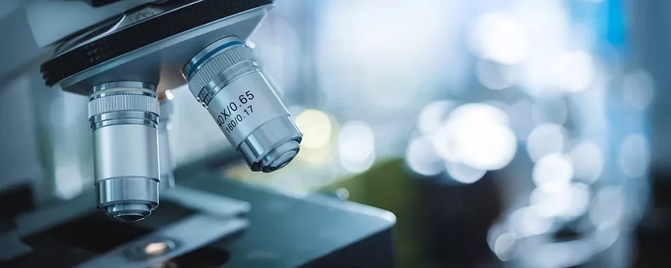 Gros plan sur les objectifs d'un microscope.