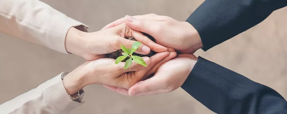 Deux paires de mains tiennent une jeune plante avec de la terre.