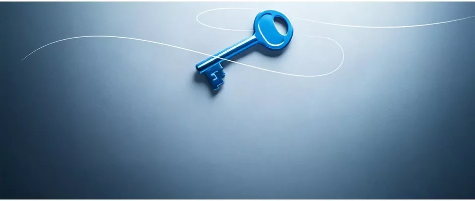 Dégradé blanc foncé avec une clé